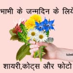 Happy Birthday Bhabhi Quotes In Hindi With Images