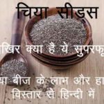Chia-seeds-ke-fayde-aur-nuksan-in-hindi.jpg
