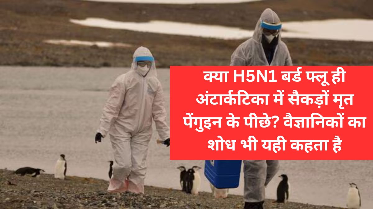 H5N1 bird flu pandemic hindi